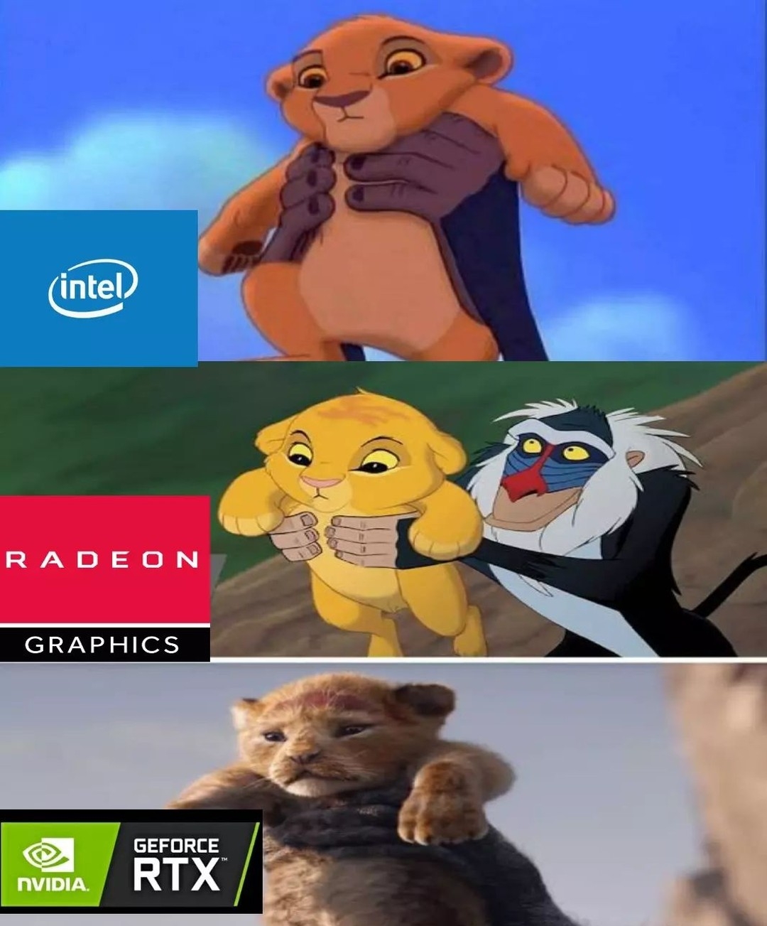 1000049056